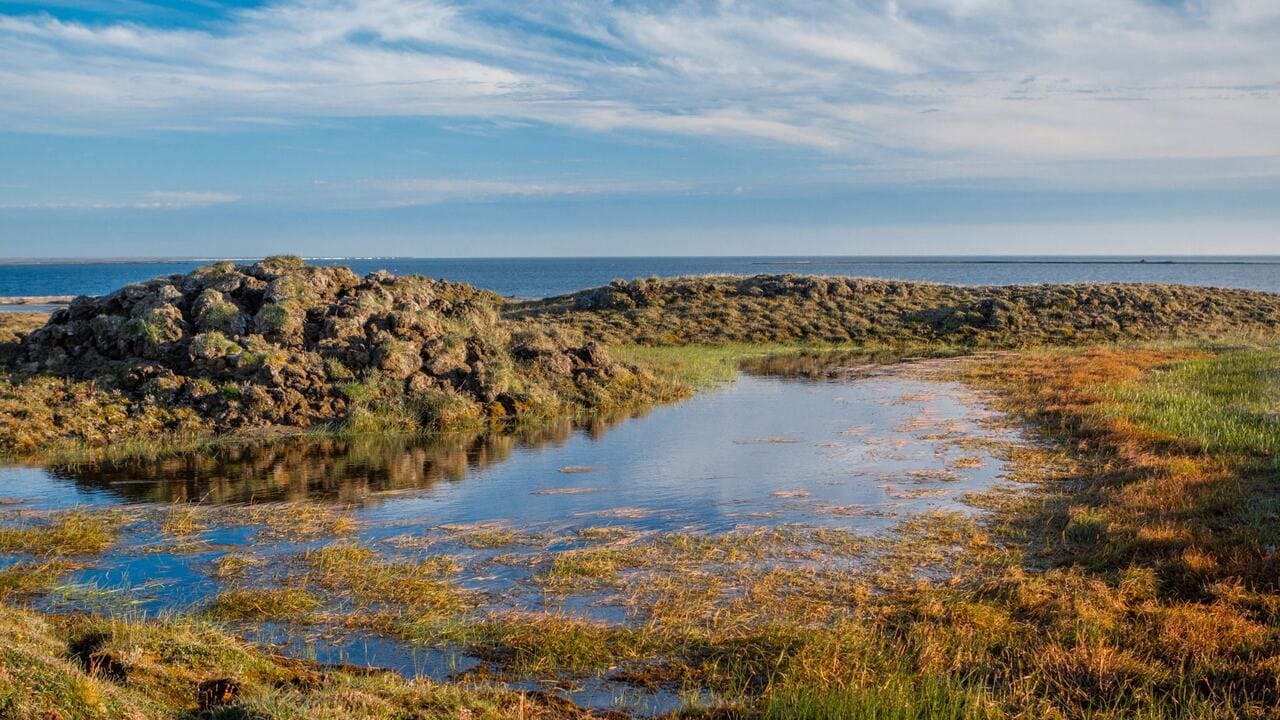 a picture of a beach with river i it and on the background you can see the sea and the blue sky